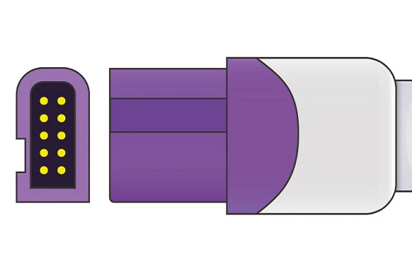 61