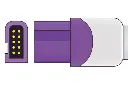 61