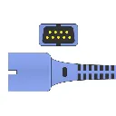 SpO2004.webp
